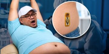 Scientists develop lab-grown pancreas that produces insulin on its own in diabetes breakthrough