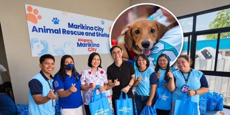 Marikina opens new animal rescue shelter with no-kill policy, free anti-rabies vaccination services