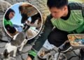 Hero Delivery Rider Uses Tips and Spare Change to Feed Stray Animals Across Metro Manila