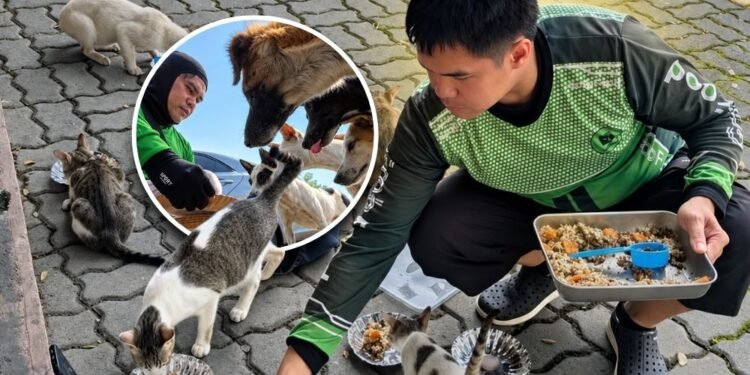 Hero Delivery Rider Uses Tips and Spare Change to Feed Stray Animals Across Metro Manila