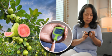 The Common Philippine Guava Packs More Vitamin C than Oranges—and Helps with Blood Sugar, Cholesterol