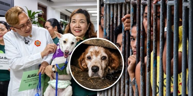 Lawmakers push tougher animal cruelty law with up to 3 years in jail, ₱500,000 fine for killing an animal